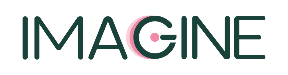 IMAGINE Logo